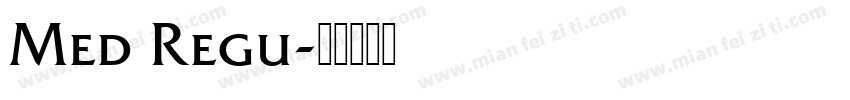 Med Regu字体转换